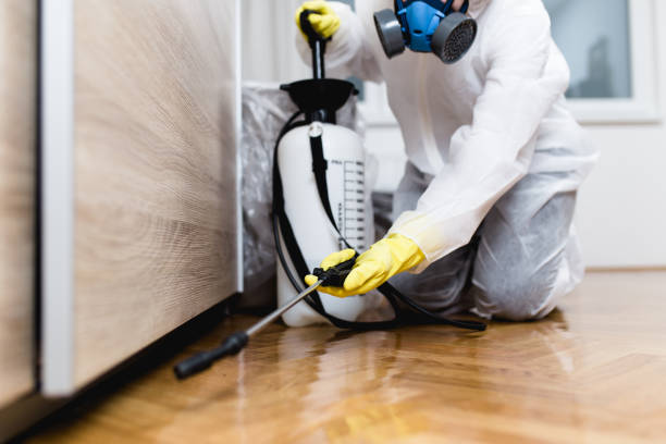 Reliable St Martinville, LA Pest Control Solutions