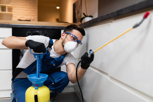 Best Local Pest Control Services  in St Martinville, LA