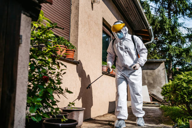 Best Pest Control Near Me  in St Martinville, LA
